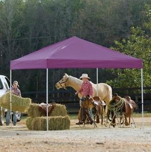 Shelterlogic 12 x 12 Straight Leg Pro Series Pop Up Canopy Durable Polyester New