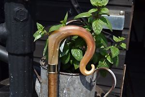 Walking Sticks - Ram's Horn Shepherds Crook.