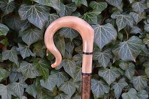 Walking Sticks - Ram's Horn Shepherds Crook.