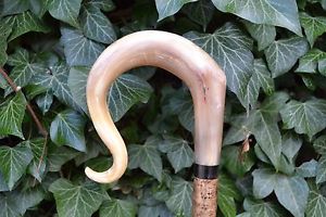 Walking Sticks - Ram's Horn Shepherds Crook.