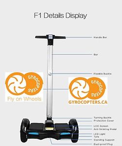 swegway electric scooter with handle long battery life fast shipping off road 10