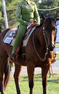 Lindsey James Loden or Apple Green Western HMS/Horsemanship complete outfit