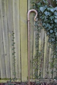 Walking Sticks - Ram's Horn Shepherds Crook.