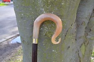 Walking Sticks - Ram's Horn Shepherds Crook.