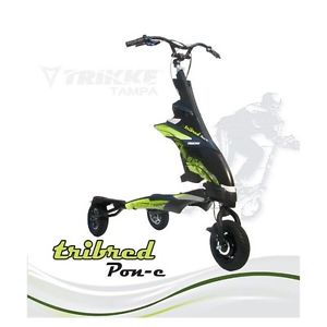 Electric Trikke