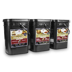 360 Servings of Wise Emergency Survival Food Storage