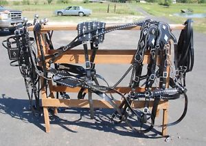 Amish made biothane standard horse team parade harness