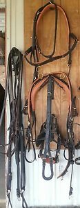 Custom Ideal Harness - Large Horse/Small Draft Size