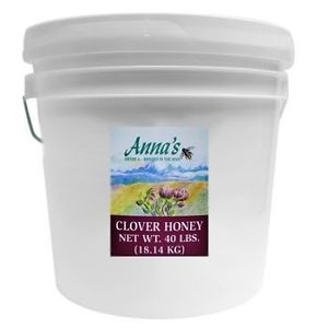 Annas Gourmet Honey All-Natural Clover Honey 40 lb. Pail