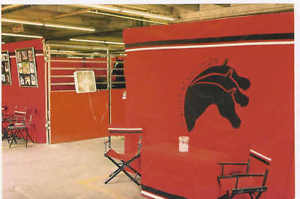 HORSE SHOW   DECORATIONS, TRUNK COVERS , DIRECTOR CHAIR COVERS- CUSTOM