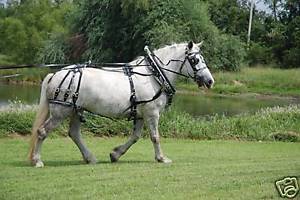 Amish made biothane - beta draft horse parade harness