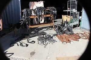 18-55 - Fancy 6 horse show harness with collars, housings, lots of extras