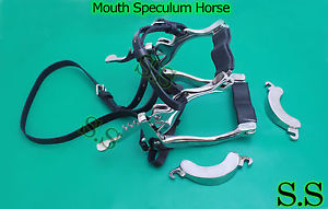 12 Equine Mouth Speculum for Horses