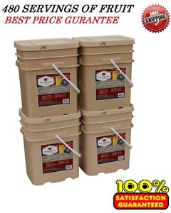 Wise Foods 480 serving Long-Term Freeze-Dried FRUIT Survival / Emergency Bucket