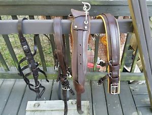 ***Leaders Worldwide Inc*** Leather pleasure harness -brown w/London for pony!