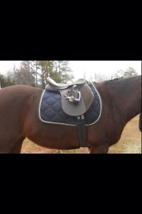 equestrian english tack