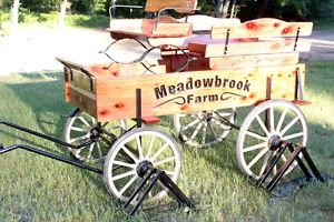 Buckboard, Horse drawn cart, Donkey Wagon, Pony Buggy, Custom Made