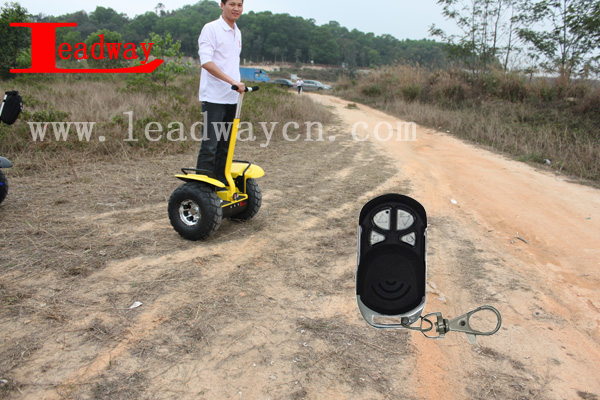 LeadwayBattery status display19 wheel and Max support 200kg off road gas scooters for kids( RM09D-T996)