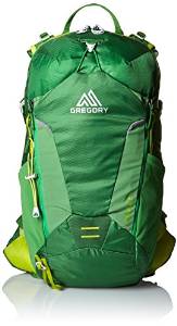 Gregory Miwok 24 Daypack