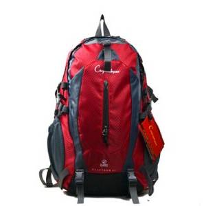 Spring, Summer, New Outdoor Backpack Mountaineering Bag Men's and Women's Leisure Hiking Backpack 40 L Red