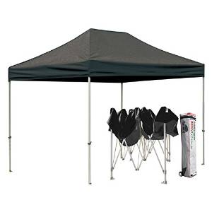 Eurmax Basic Pop up Canopy Steel Outdoor Shelter Commercial Tent Wedding Gazebo with Wheeled Carry Bag, 8 X 12-feet