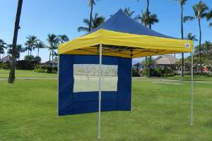 10'x10' Pop Up Canopy Party Tent Gazebo EZ Navy Blue/Yellow (A Design) - E Model By DELTA Canopies