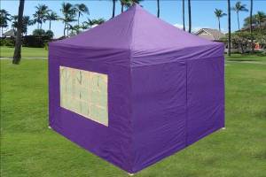 DELTA Canopies -10'x10' Pop up 4 Wall Canopy Party Tent Gazebo EZ Purple - E