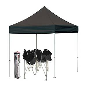 Eurmax Pop up 8 X 8 Canopy Instant Outdoor Gazebo Tent with Carry Bag