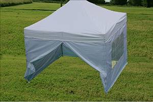 10'x10' Pop up 4 Wall Canopy Party Tent Gazebo Ez White - F Model Upgraded Frame By DELTA Canopies