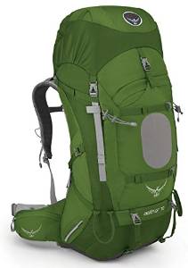 Osprey Aether 70 Hiking Backpack Medium Bonsai Green