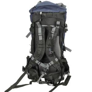 80L Professional Backpack Shoulders Bag Camping Hiking External Frame Blue#C4094