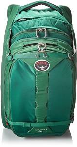 Osprey Waypoint 80 Travel-Trekking Pack - Men's