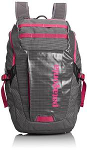 Patagonia Black Hole Pack 25L (FRDM)