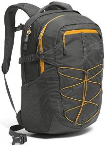 The North Face Unisex Borealis Backpack