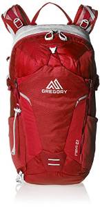 Gregory Maya 22 Daypack