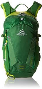 Gregory Miwok 18 Daypack