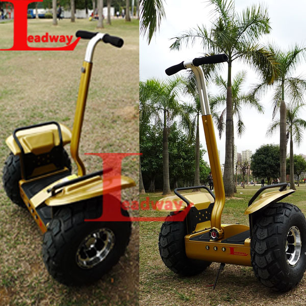 Leadway 6 groups gyroscope The tire 19 off road electric three wheel electric scooter( RM09D-T1115)