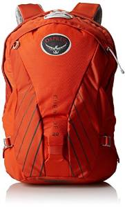 Osprey Packs Momentum 22 Daypack