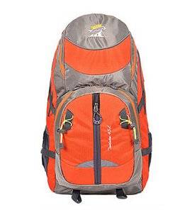 Leisure Sports Men and Women 40 L Outdoor Climbing Package Waterproof Backpack Quality Goods Hiking Backpack Orange