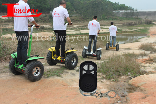 LeadwayBattery status display19 wheel and Max support 200kg pizza scooter off road ( RM09D-T700)