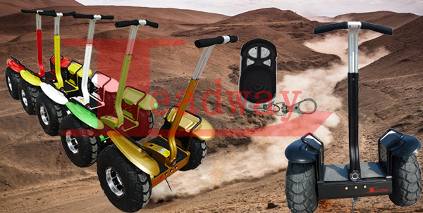 Leadway equipped with dual wheels electric scooter parts off road ( RM09D-812)