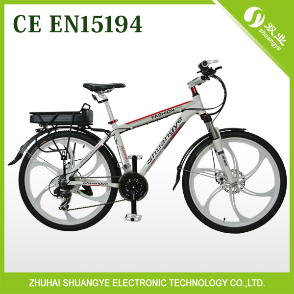 cargo high power electric motorized bike A6