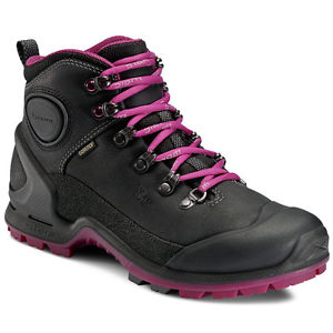 Ecco Women Biom Terrain Akka Mid GTX / 823513 57564