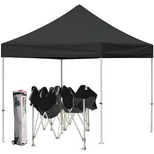 Eurmax Basic 10 X 10 Pop up Canopy Outdoor Party Gazebo Instant Shelter with Roller Bag