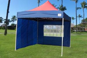 10'x10' Pop up 4 Wall Canopy Party Tent Gazebo Ez Red / Navy Blue - E Model By DELTA Canopies