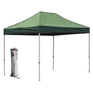 Eurmax Basic 8 X 12 Canopy Tent Market Portable Shelter with Roller Bag, Forest Green