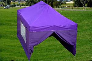 10'x15' Pop up 4 Wall Canopy Party Tent Gazebo Ez Purple - F Model Upgrade Frame By DELTA Canopies