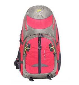 Leisure Sports Men and Women 40 L Outdoor Climbing Package Waterproof Backpack Quality Goods Hiking Backpack Pink