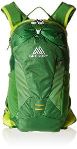 Gregory Miwok 12 Daypack