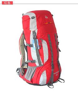 Daypack/Camping Backpck/Travel Daypack/Casual Backpack with Rain Cover